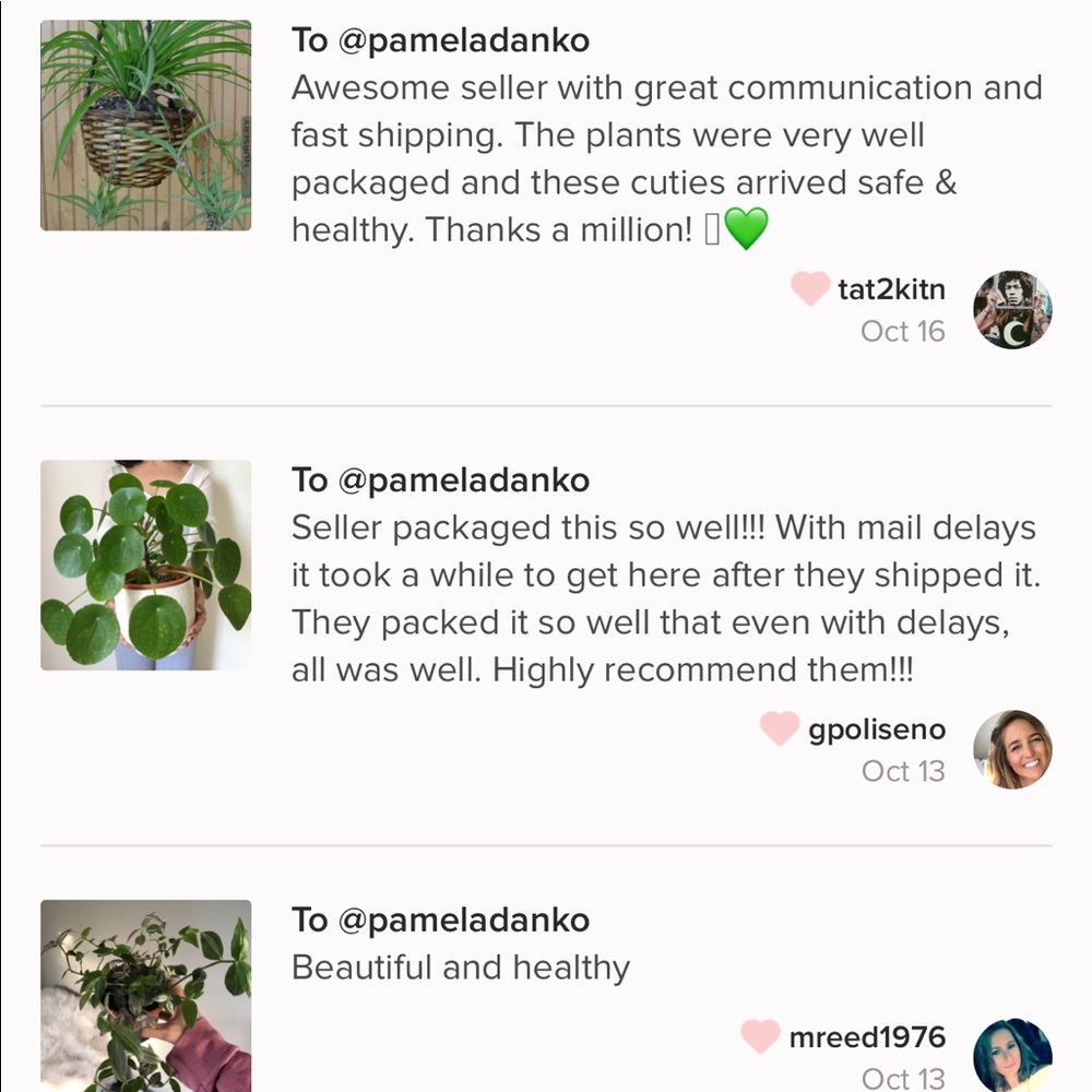 Houseplant Mystery Box !! - Picture 3 of 3